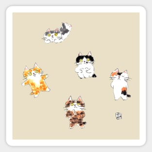 5 cute cats Sticker